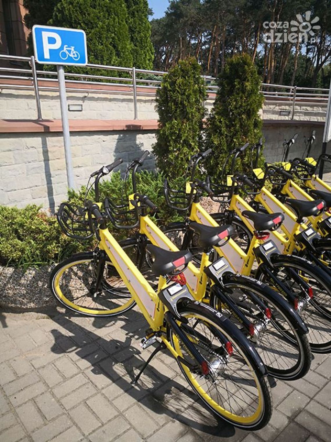 Kozienice. Można skorzystać z roweru miejskiego - testowo Kozienice. Można skorzystać z roweru miejskiego - testowo