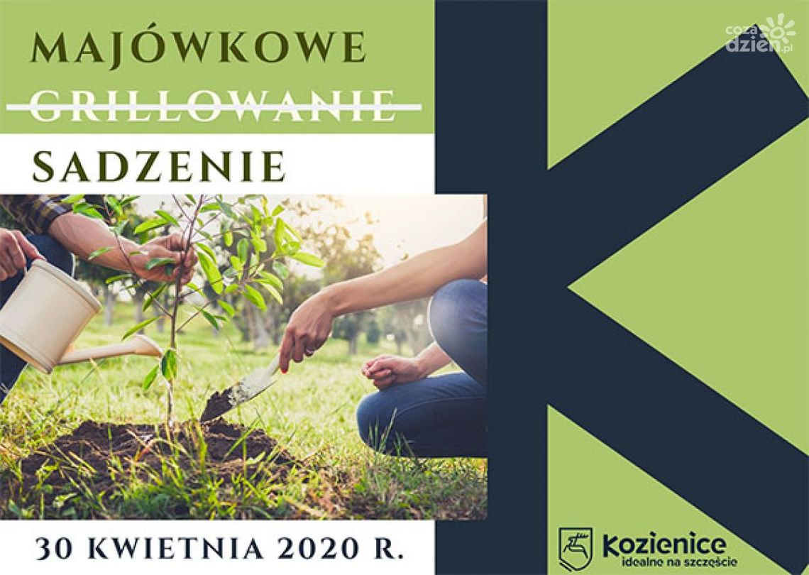 Kozienice. Na "majówkę" posadź drzewo Kozienice. Na "majówkę" posadź drzewo