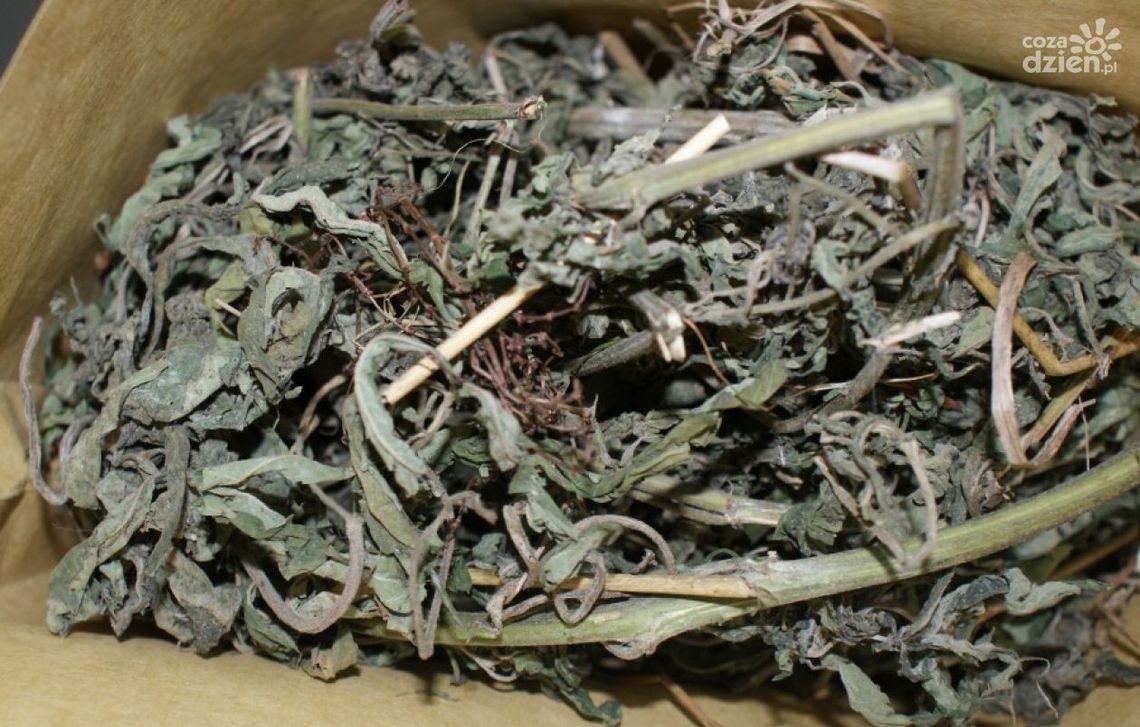 KOZIENICE. Narkotyki w wersalce i kradziony rower KOZIENICE. Narkotyki w wersalce i kradziony rower