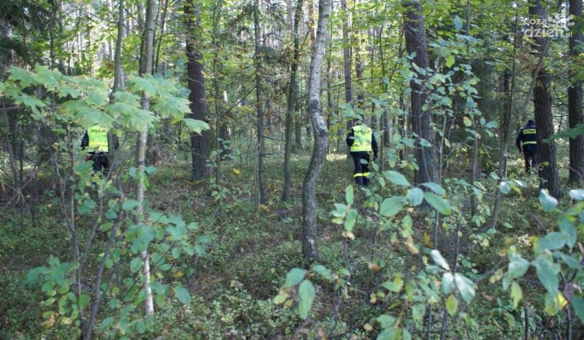 Kozienice. Odnaleziono zaginionych grzybiarzy Kozienice. Odnaleziono zaginionych grzybiarzy
