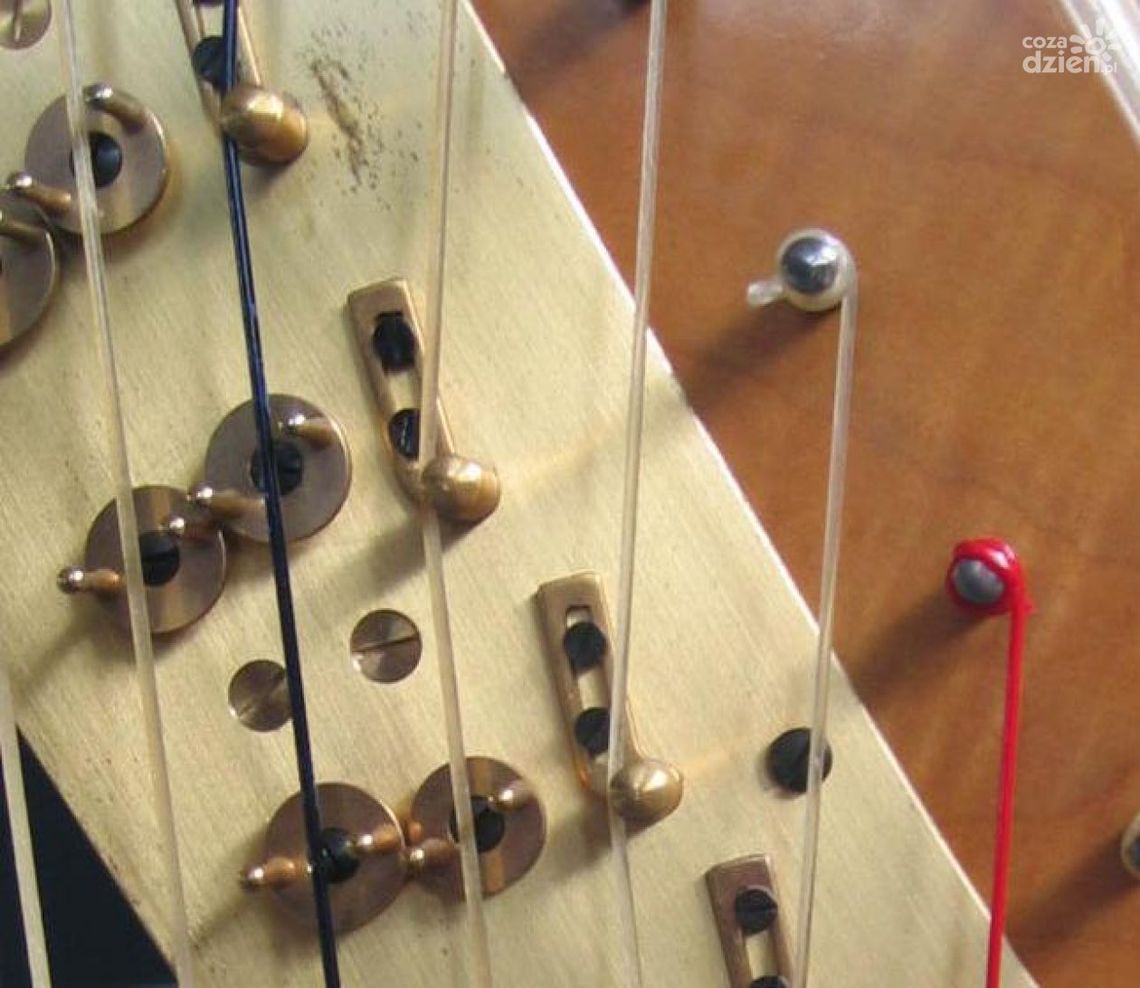 Kozienice zapraszają na smykofonię Kozienice zapraszają na smykofonię