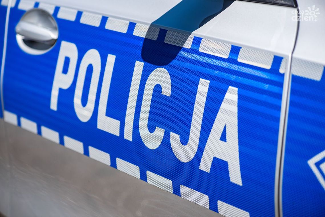 Kradli kable energetyczne przy trasie S7. Wpadli na gorącym uczynku