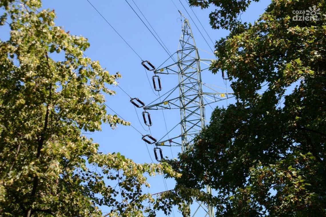 Kradli kable telekomunikacyjne. Grozi im nawet 8 lat 