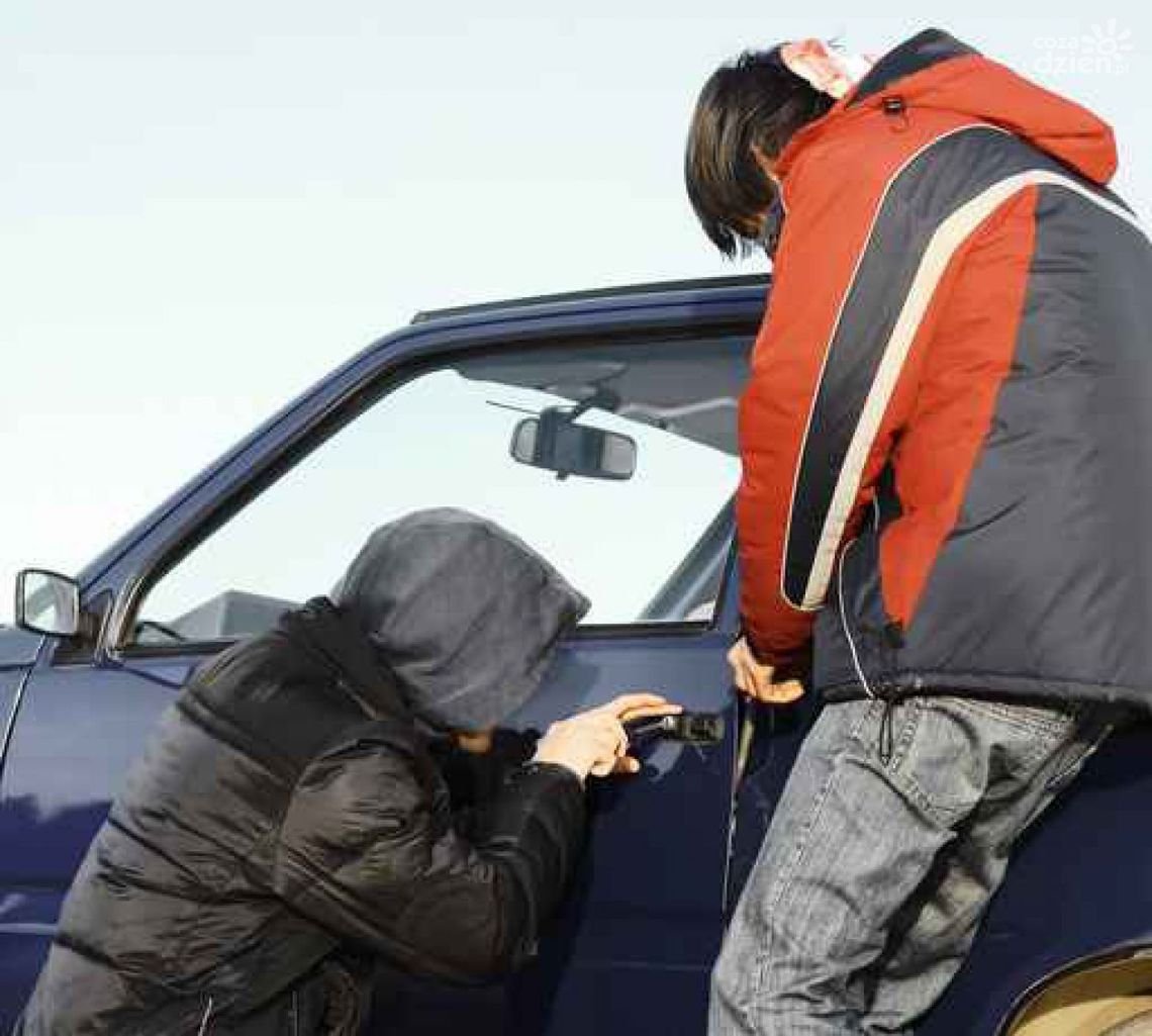 Kradną na potęgę!