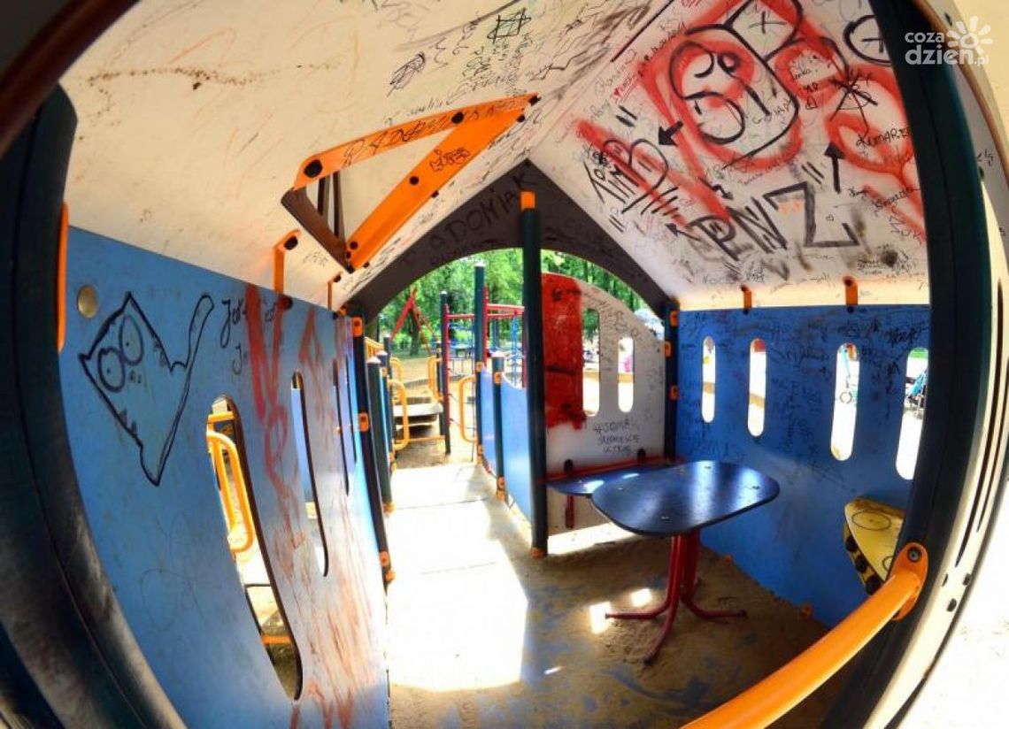 Kradną nawet zrębki! ZUK liczy straty