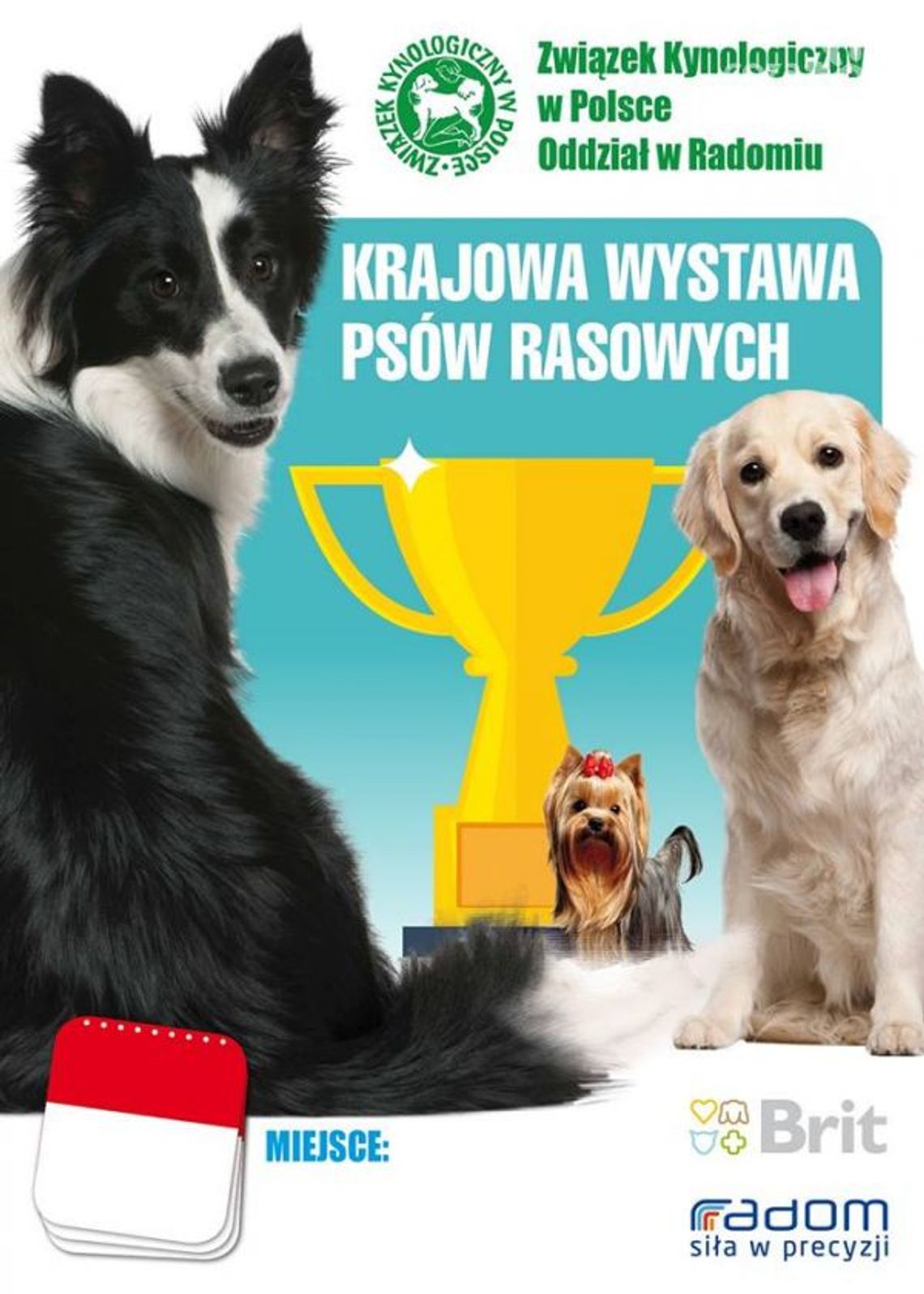 Krajowa wystawa psów rasowych w Iłży Krajowa wystawa psów rasowych w Iłży