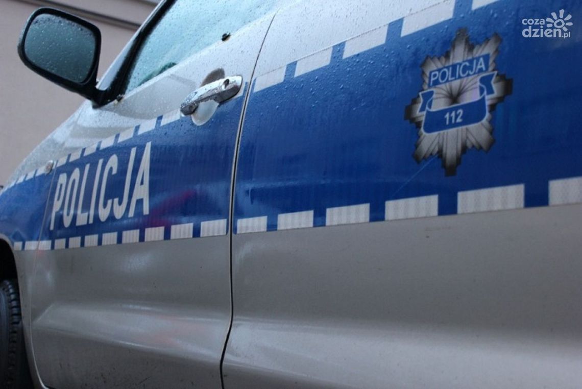 Krasnal też się przyda Krasnal też się przyda