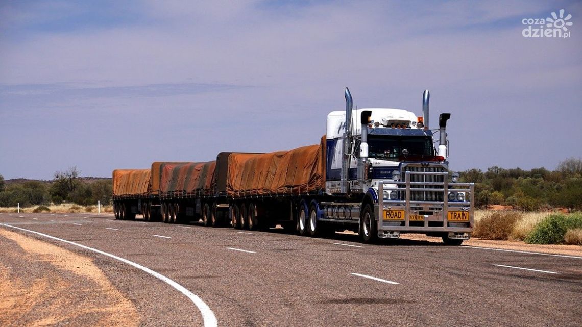 Kto może uzyskać licencję transportową?