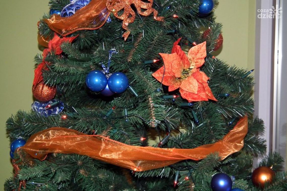 Kupujemy choinkę, czyli kłujący problem.