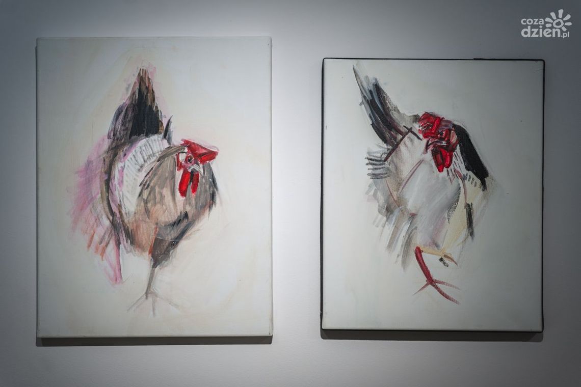 Kury motywem przewodnim nowej wystawy w "Łaźni"