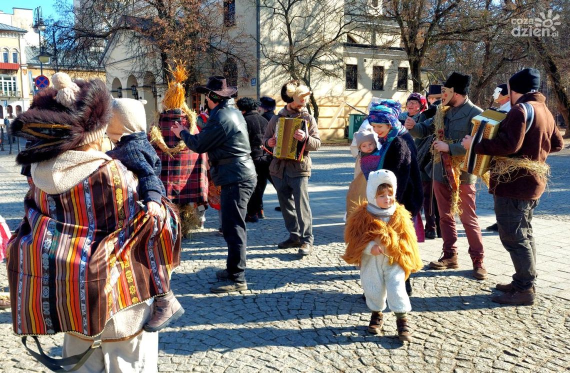 Kusoki na ulicach Radomia Kusoki na ulicach Radomia