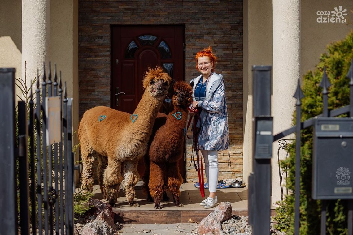 Kwarantanna "po radomsku" - okiem Martyny Skrok Kwarantanna "po radomsku" - okiem Martyny Skrok