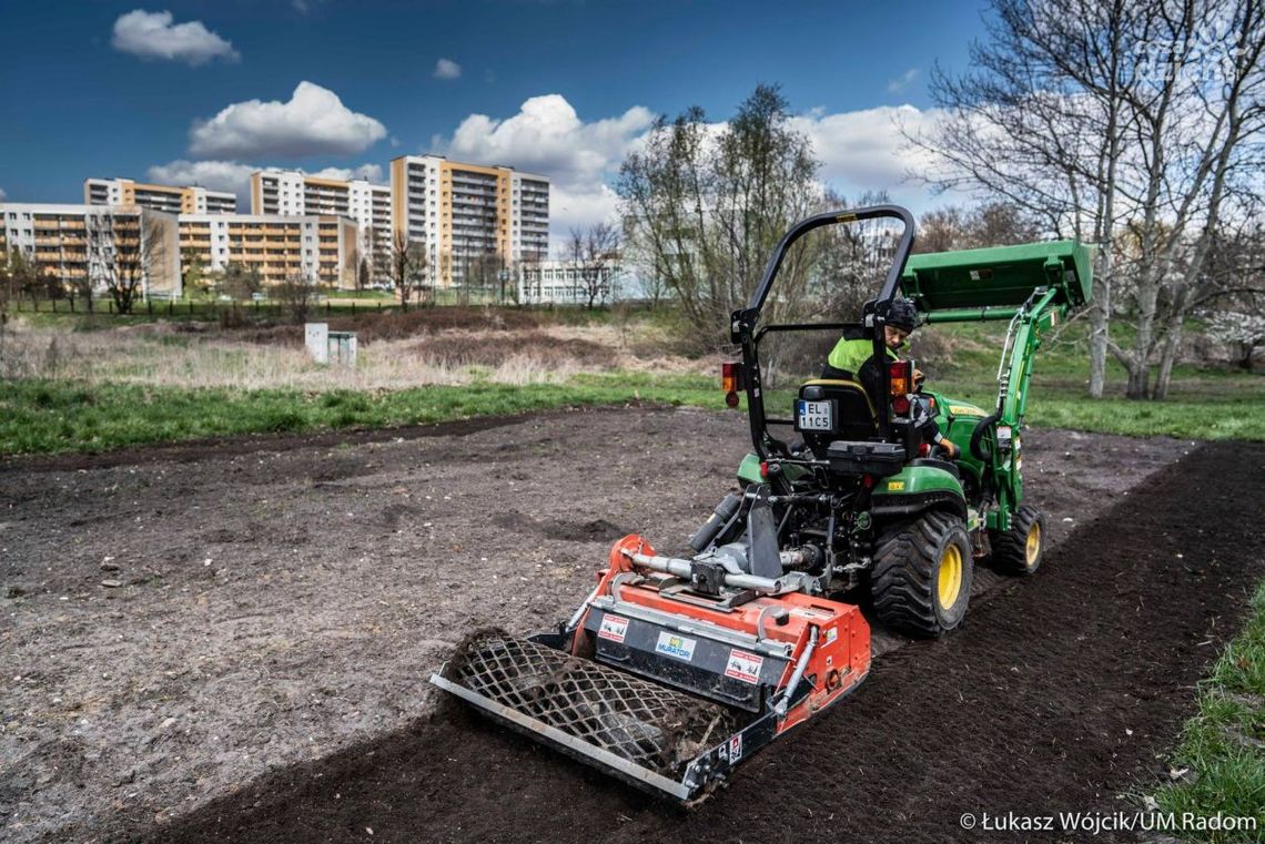 Łąki kwietne wysiane 