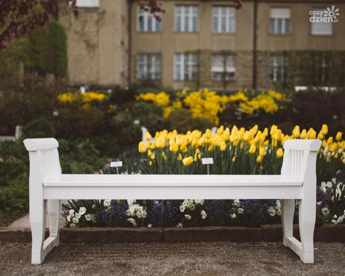 Ławka z oparciem czy bez oparcia - jaka lepiej sprawdzi się w przestrzeni miejskiej?