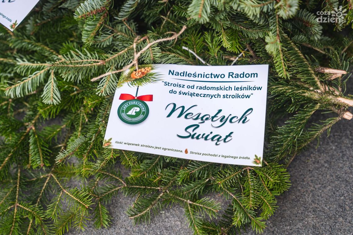 Legalny stroisz od leśników