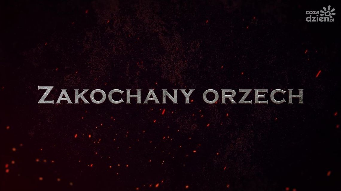 Legendy radomskie. Zakochany orzech