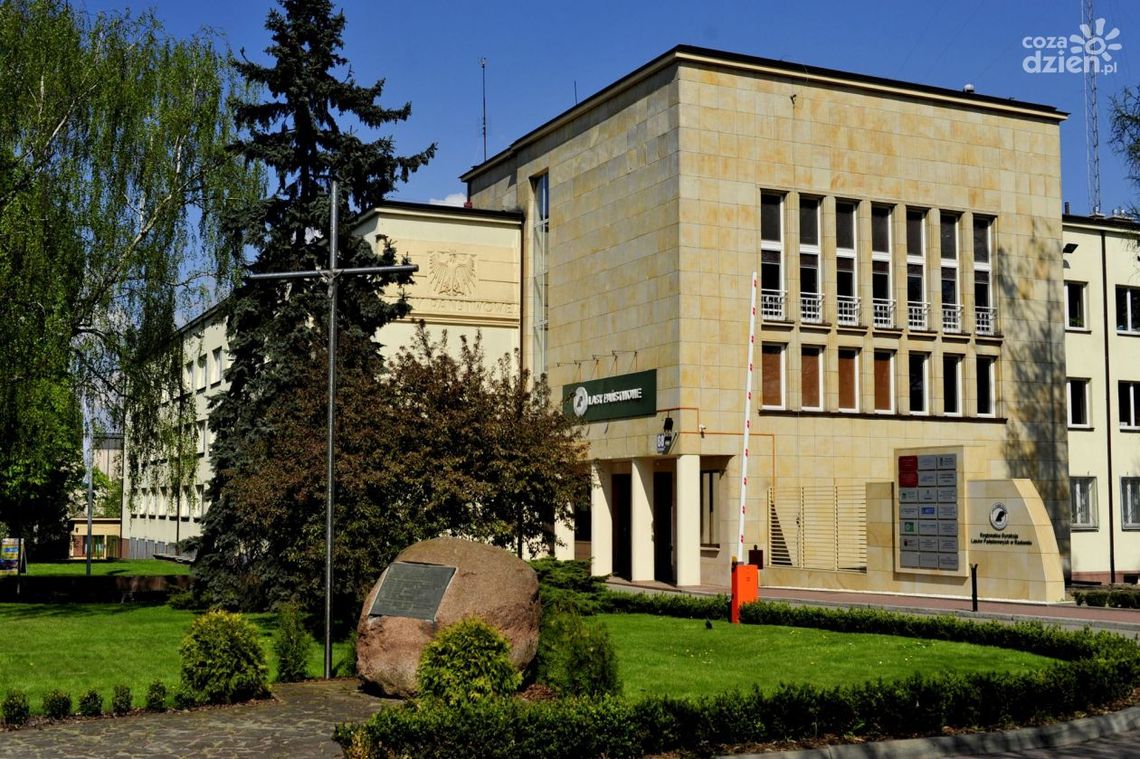 Leśnicy na stulecie zwycięstwa 