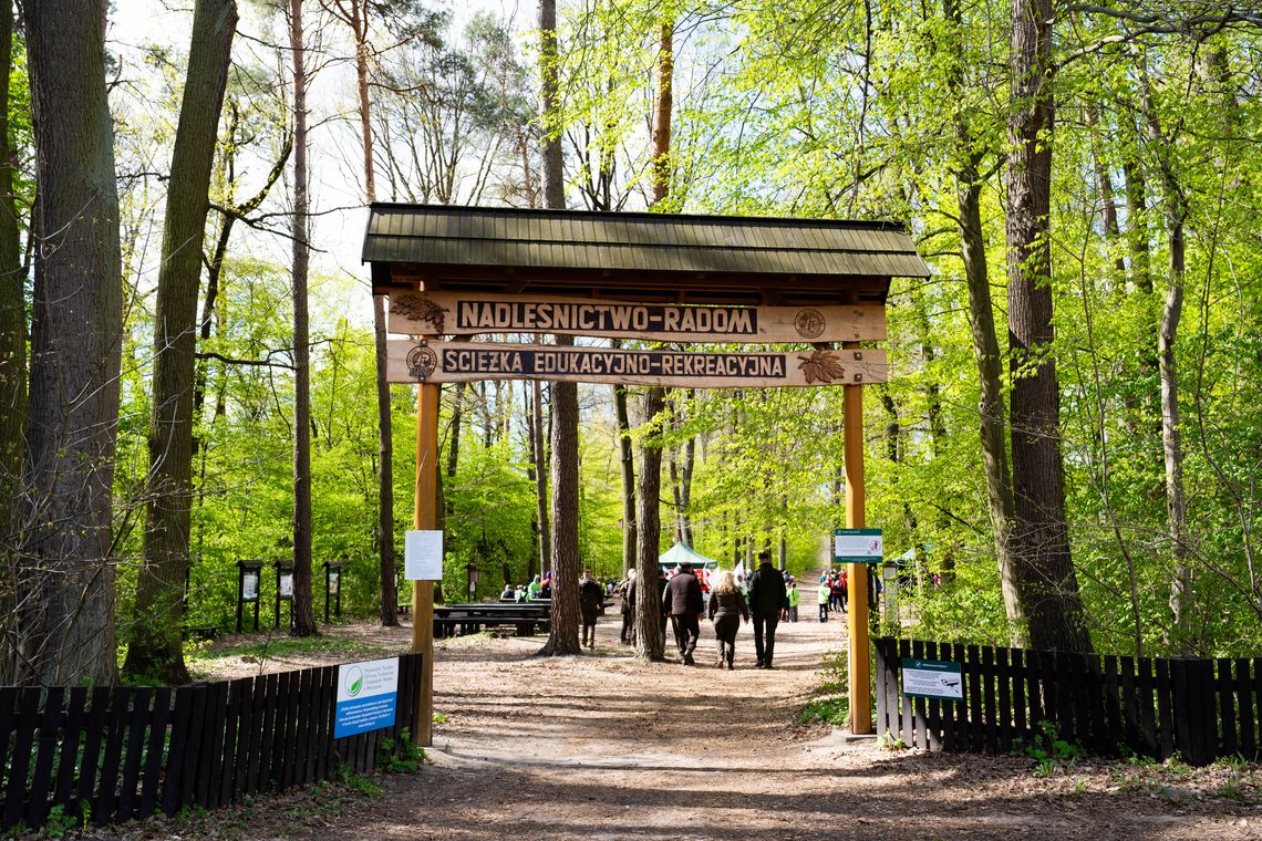 Leśnicy z Radomia zapraszają w czerwcowy weekend. O tym trzeba pamiętać (WIDEO) Leśnicy z Radomia zapraszają w czerwcowy weekend. O tym trzeba pamiętać (WIDEO)