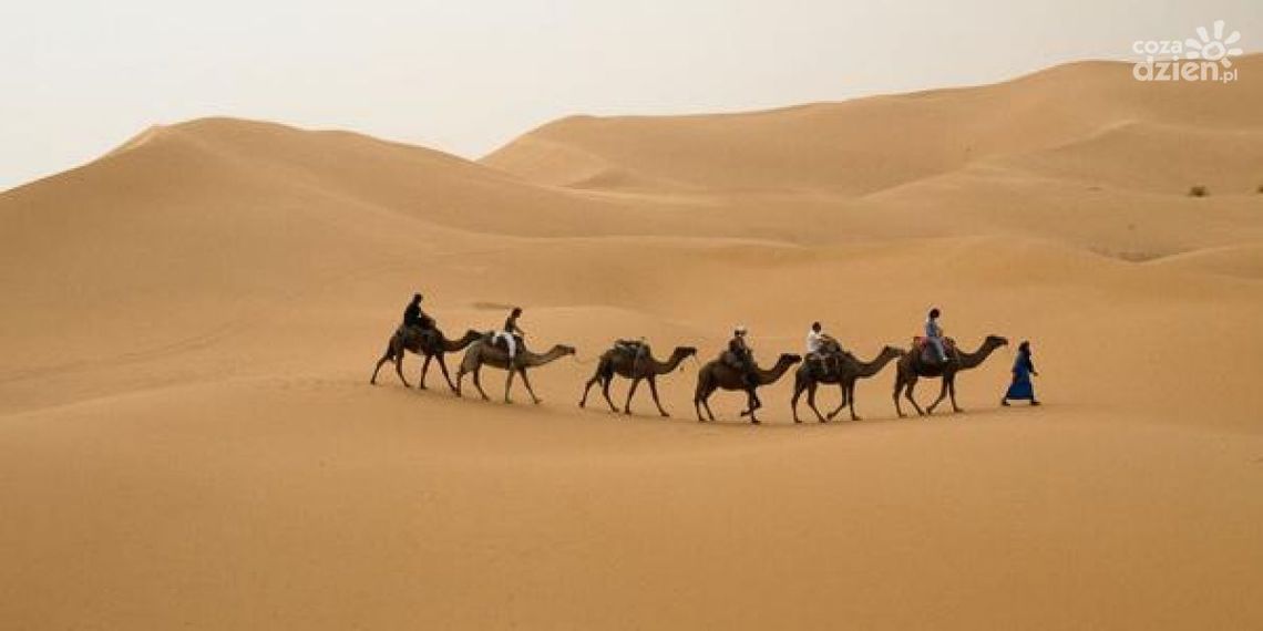 Letnie afrykańskie klimaty  - Egipt