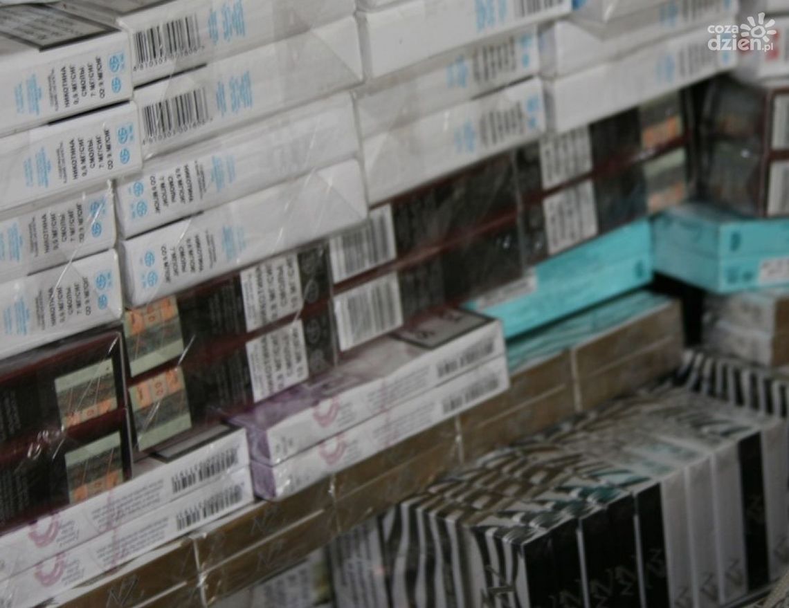 "Lewe" papierosy w rękach policji