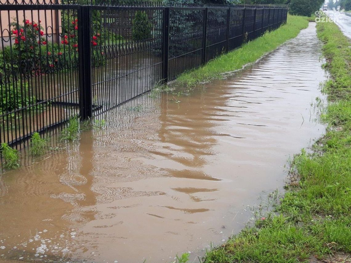 Liczne podtopienia w gminie Jastrzębia 
