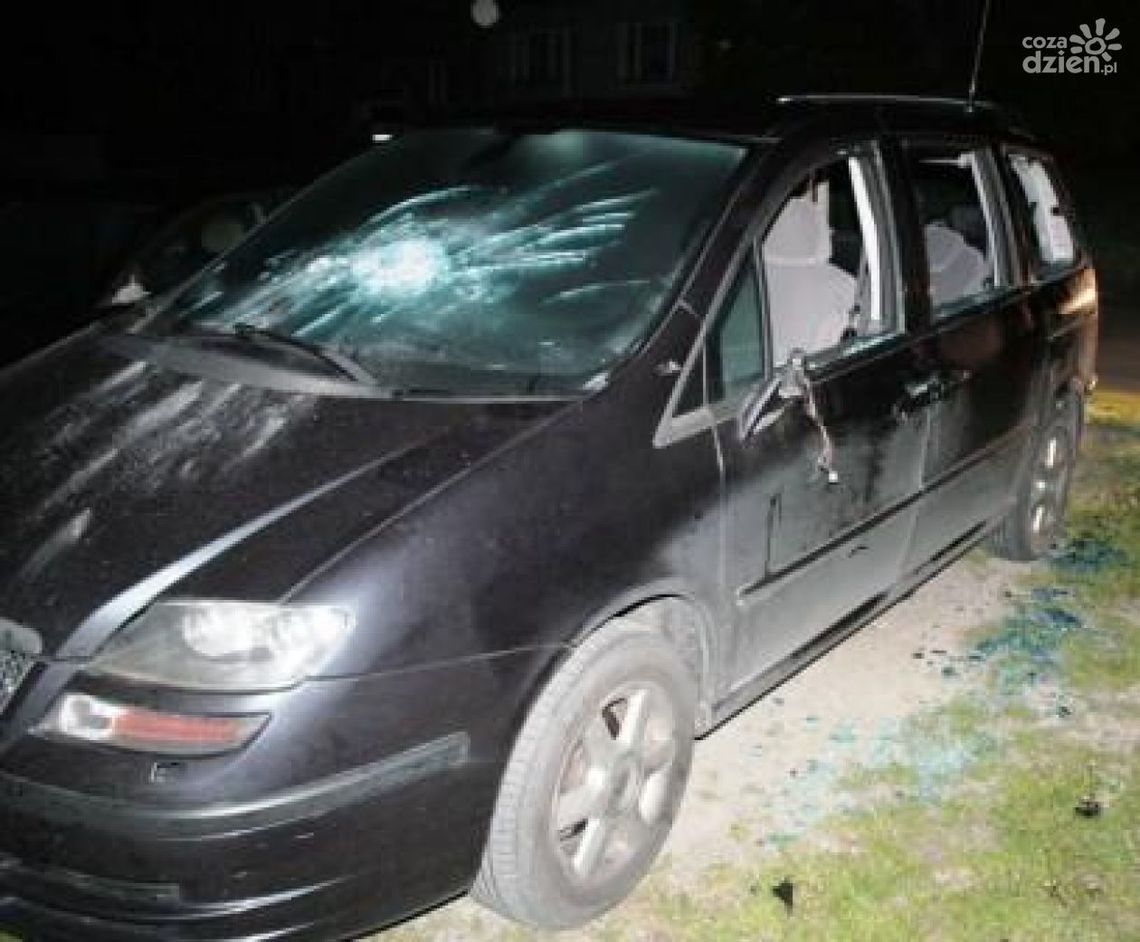 LIPSKO. Wyżywał się na samochodach.