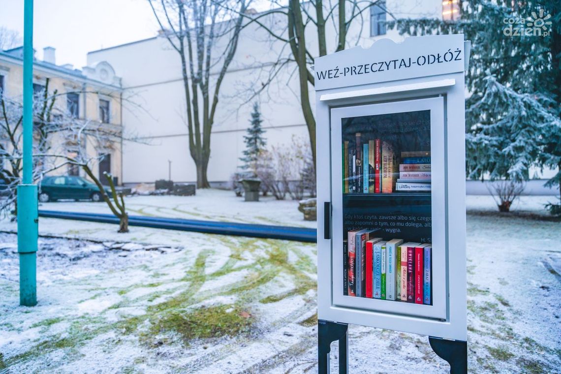 Literatura i literaci