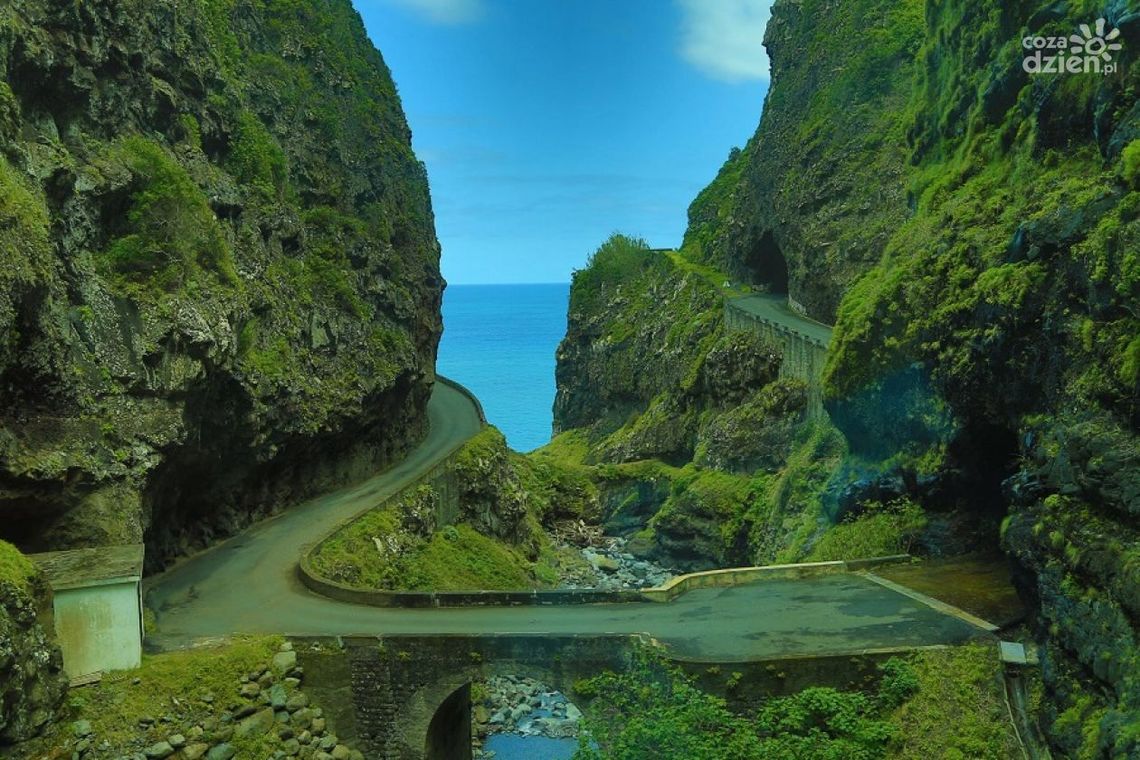 Madera - zielone serce Europy