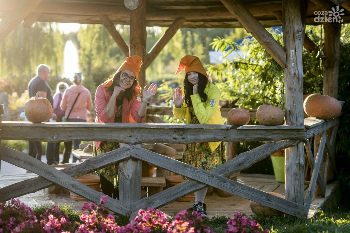 Magiczne Ogrody: Dyniobranie z Mordolem Witkiem