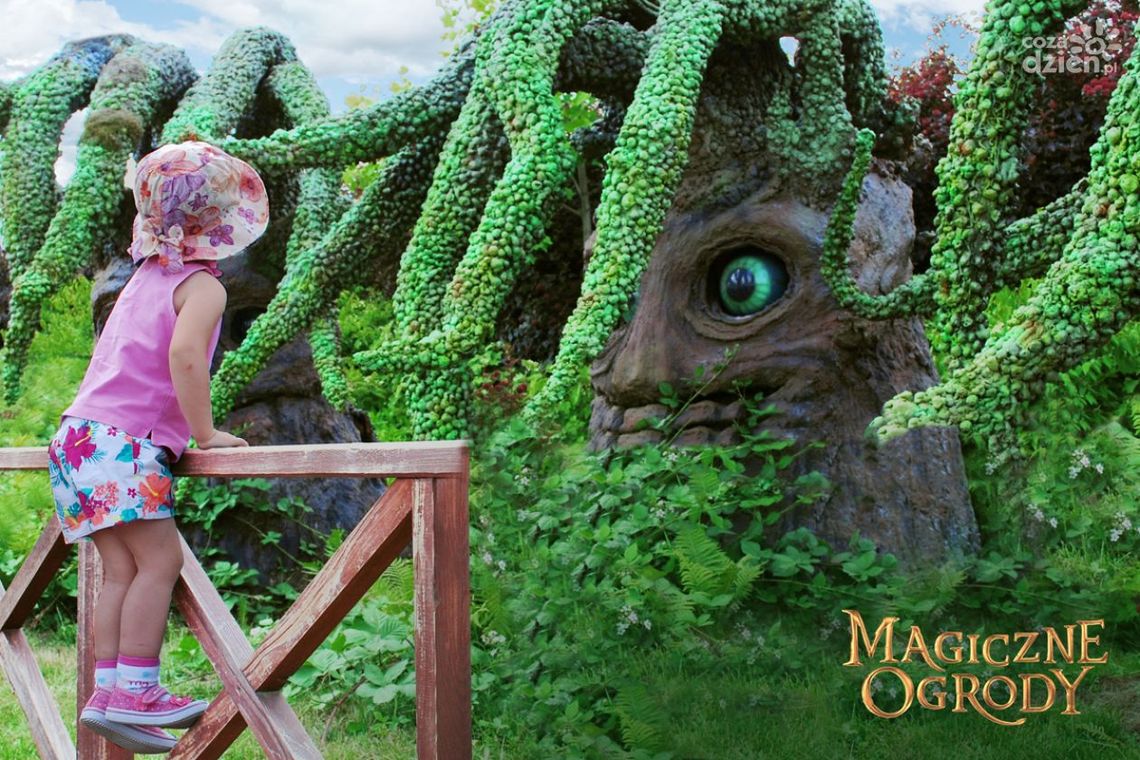 Magiczne Ogrody najlepszą atrakcją dla dzieci w Polsce! Magiczne Ogrody najlepszą atrakcją dla dzieci w Polsce!