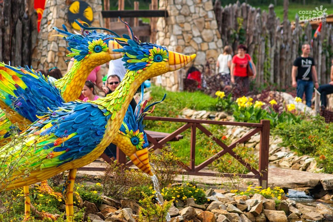 Magiczne Ogrody - WYNIKI Z ŚRODY