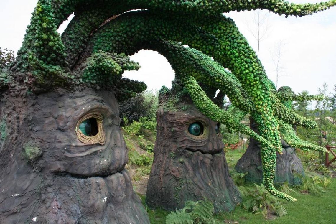 Magiczne Ogrody - WYNIKI Z WTORKU