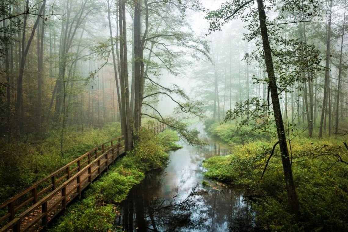 Majówka na Mazowszu Majówka na Mazowszu
