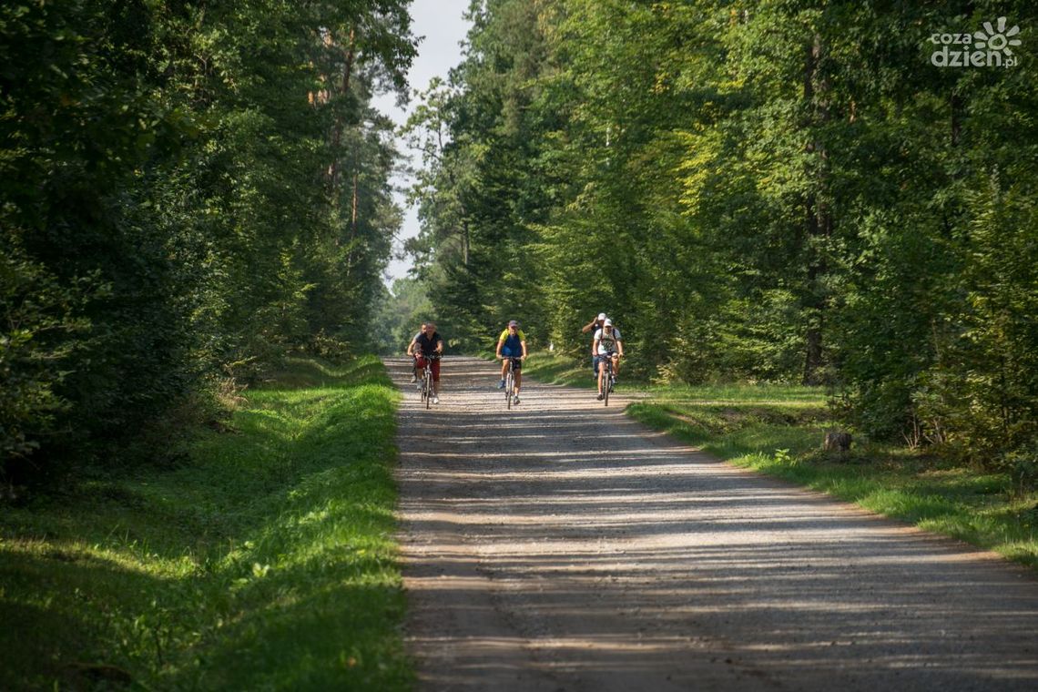 Majówka w lesie. TOP 5 miejsc na leśny wypoczynek 30 kilometrów od Radomia