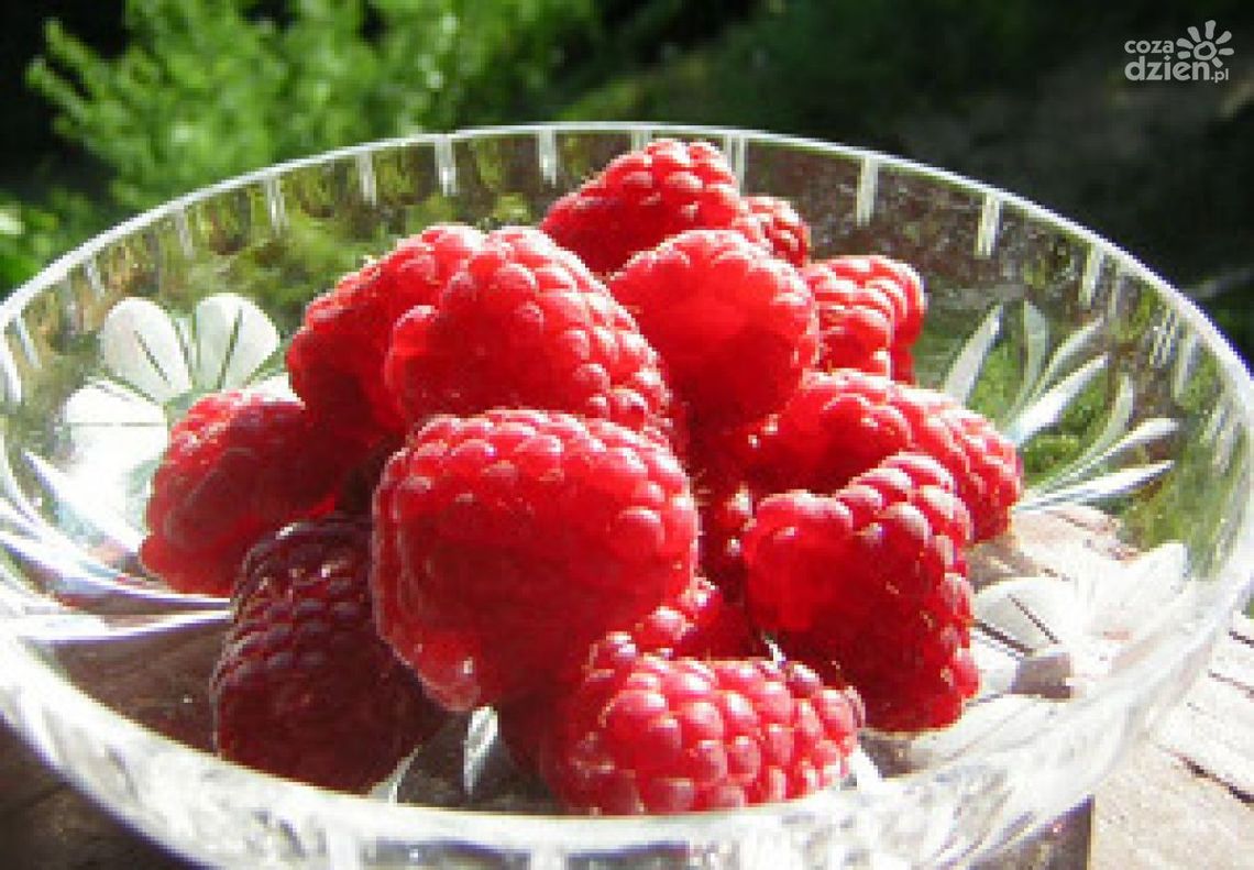 Maliny – jakie mają właściwości?