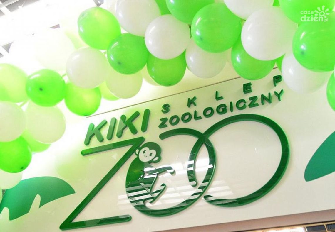 Małpka Kiki zaprasza do sklepu