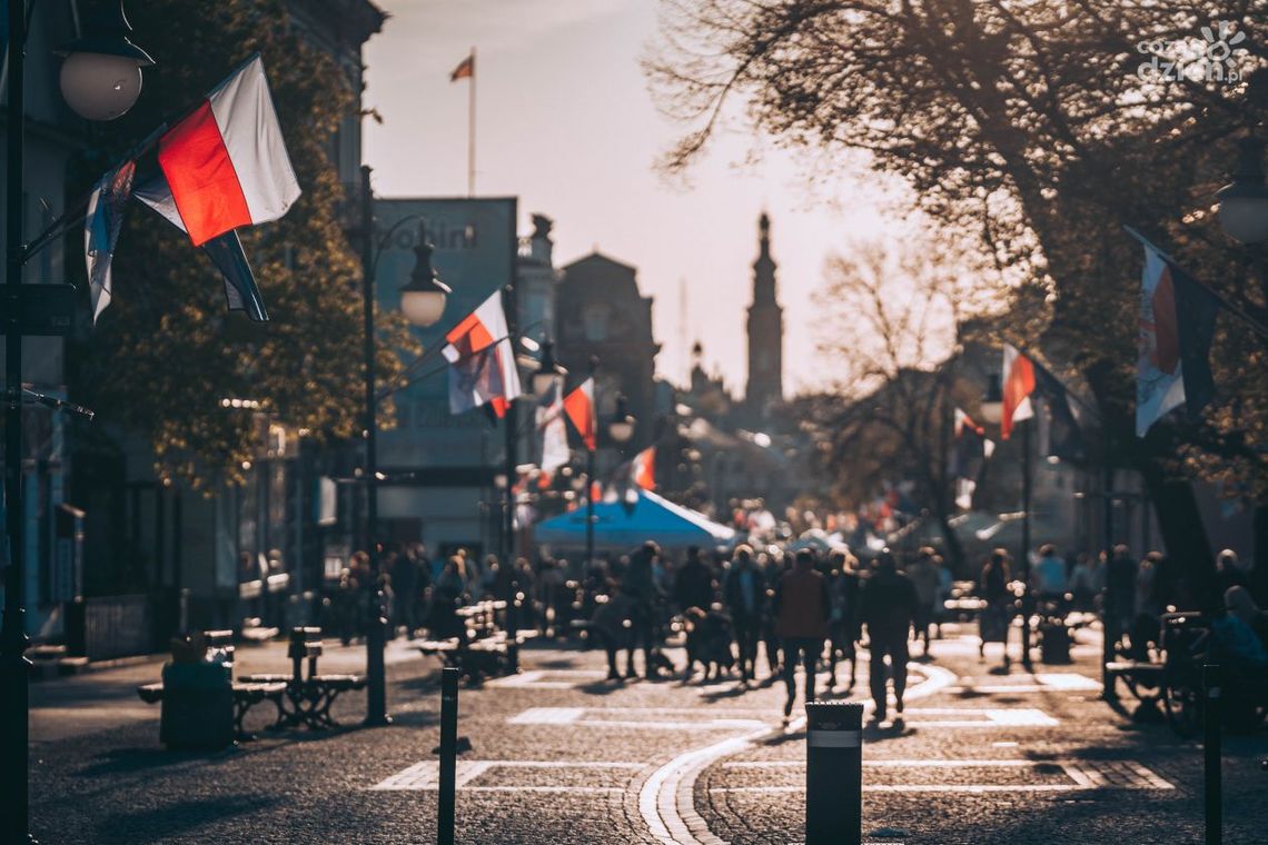 Mamy najnowsze dane z rynku pracy w Radomiu. Ilu bezrobotnych? Kto stanowi najliczniejszą grupę?
