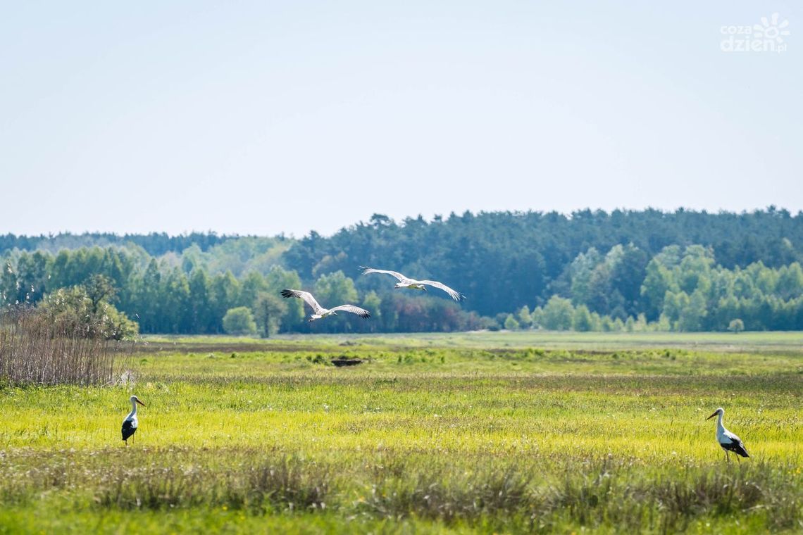 Mapa wyprawy rowerowej Co Za Jazda! Jastrzębia Mapa wyprawy rowerowej Co Za Jazda! Jastrzębia