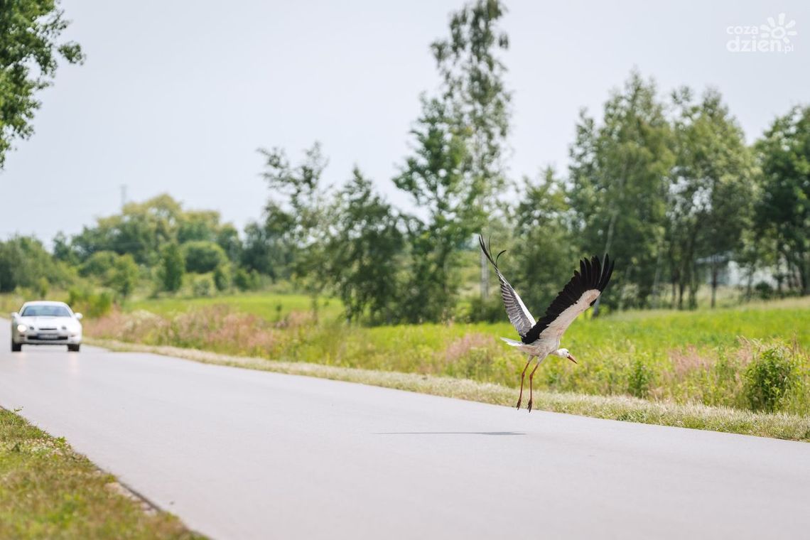 Mapa wyprawy rowerowej Co Za Jazda! Jedlińsk