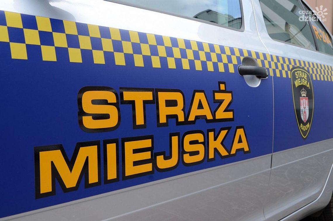 Marihuana i alkohol pod dworcem