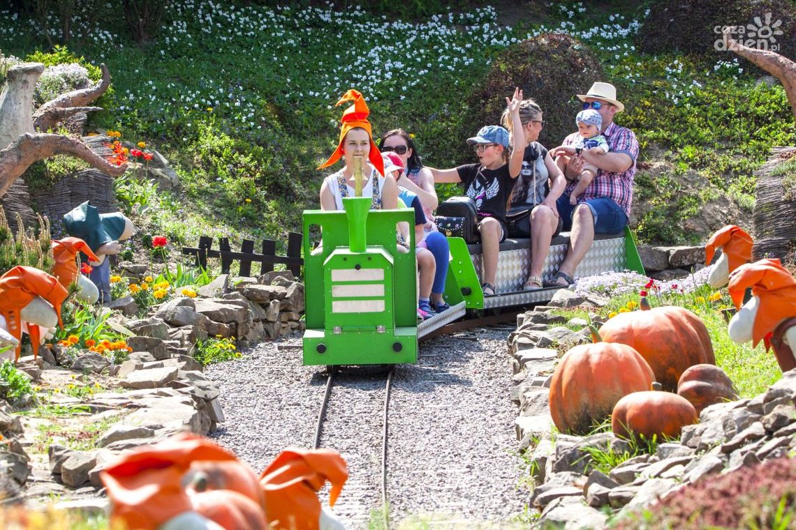 Marka Lubelskie dla Magicznych Ogrodów