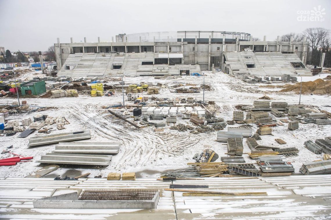 Maxto: Rosa-bud chowa głowę w piasek