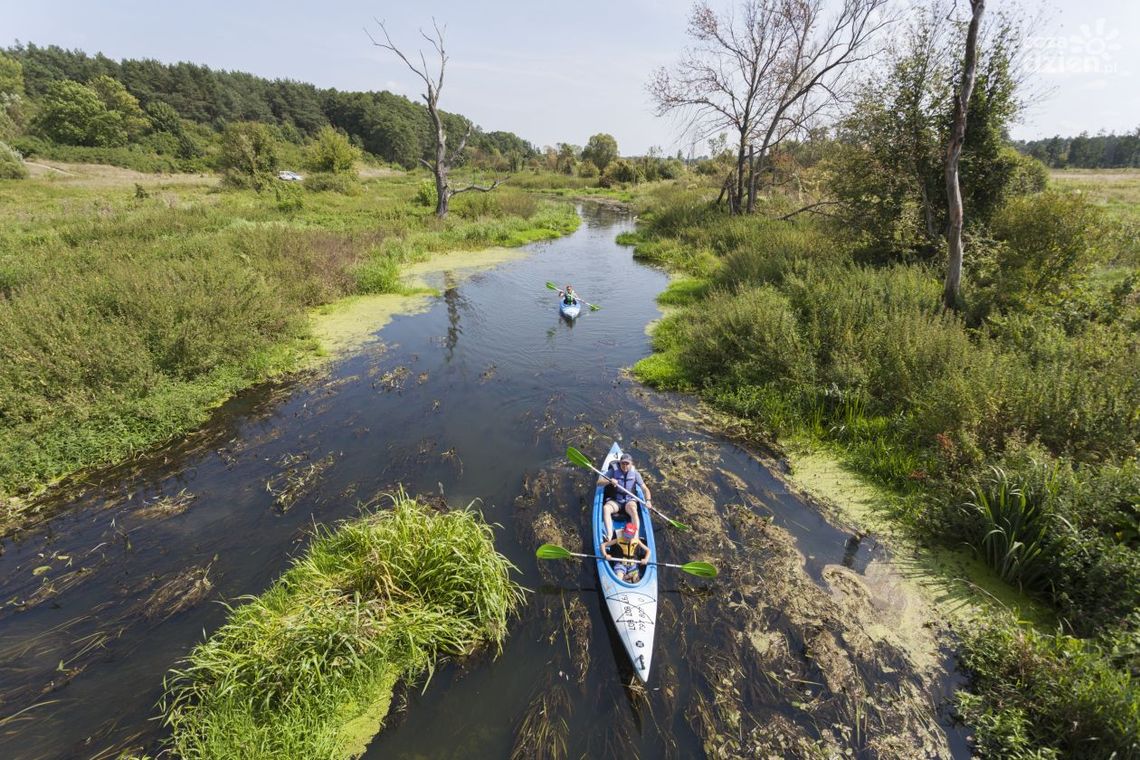 Mazowsze idealne na wakacje