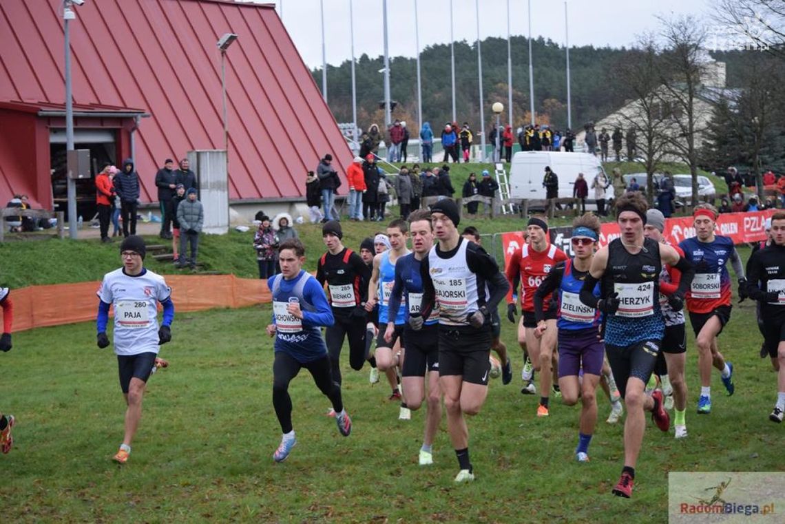 Medale lekkoatletów RLTL Optima Radom na przełajowych mistrzostwach Polski