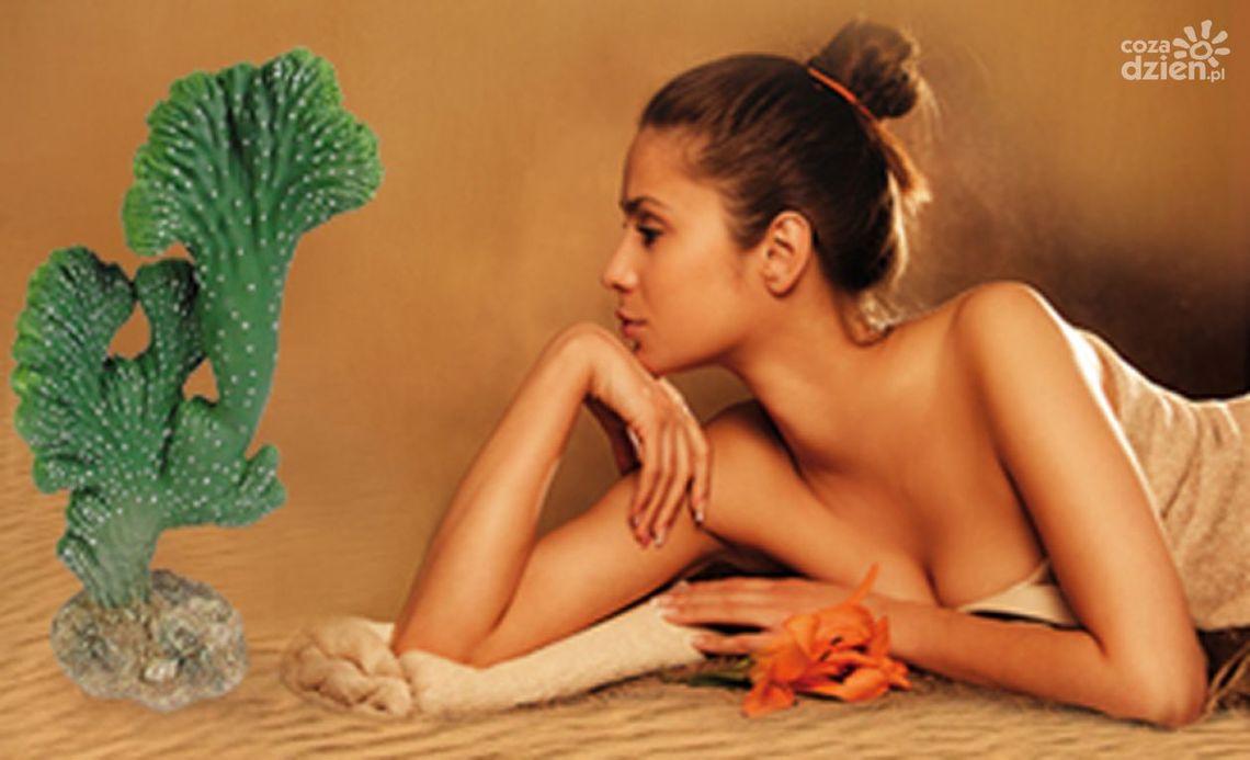 MEKSYKAŃSKA FIESTA dla duszy i ciała w Smart Relax Spa Hotel Aviator MEKSYKAŃSKA FIESTA dla duszy i ciała w Smart Relax Spa Hotel Aviator