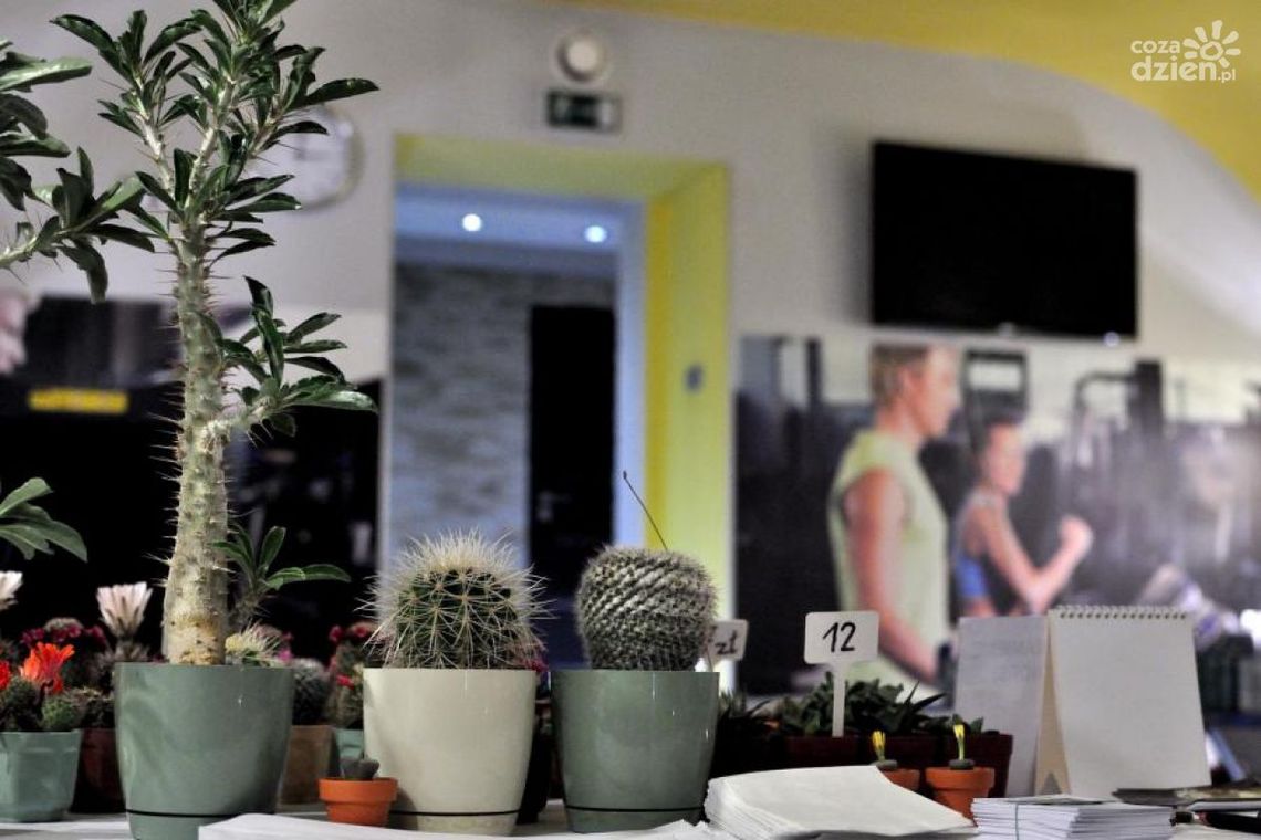 Meksykańska uczta w Smart Relax Spa Hotel Aviator