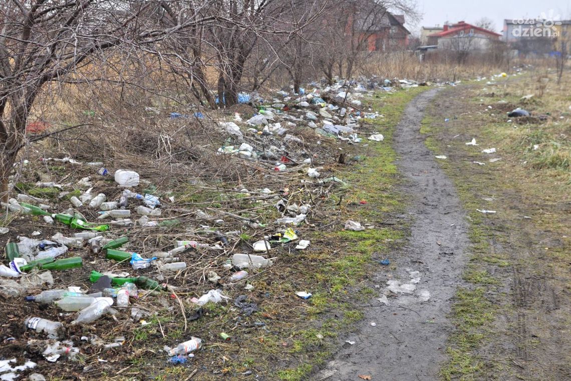 Miała być ulica, jest śmietnik