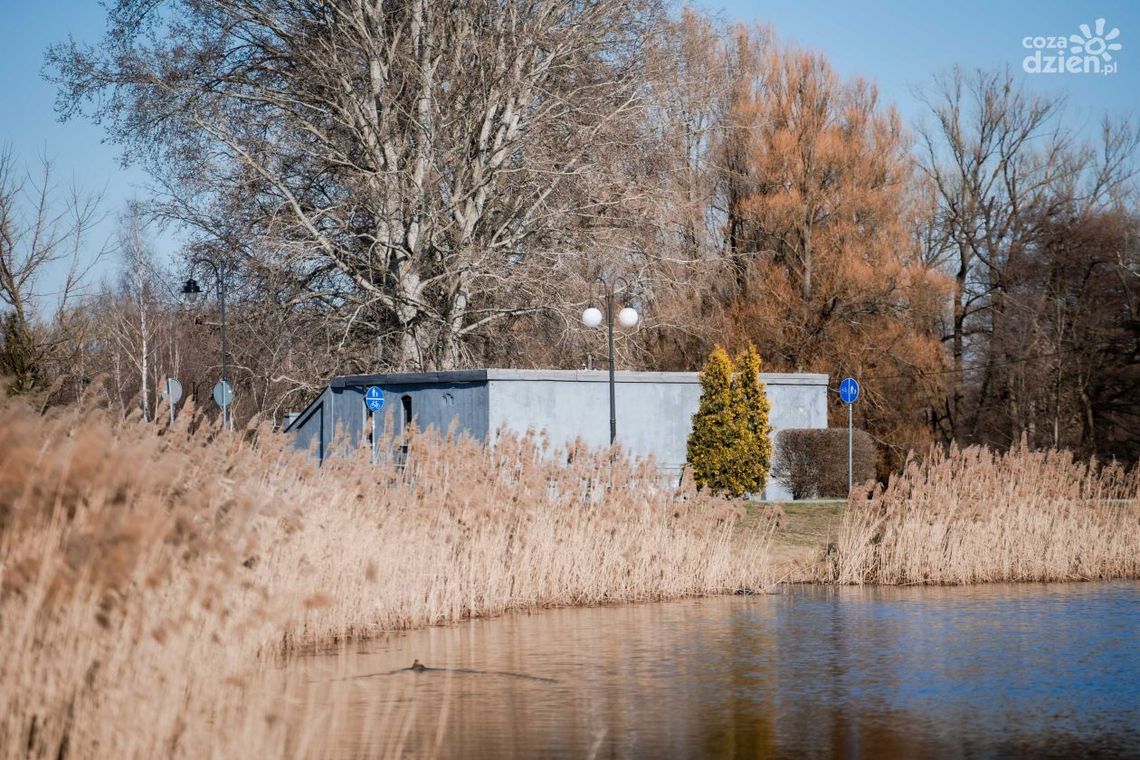 Miasto ma pomysł na Stary Młyn. Powstanie tam punkt gastronomiczny