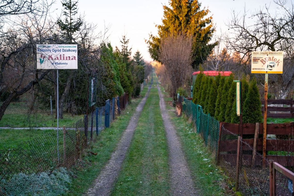Miasto nie aplikowało o środki dla działkowców. Dlaczego? Miasto nie aplikowało o środki dla działkowców. Dlaczego?
