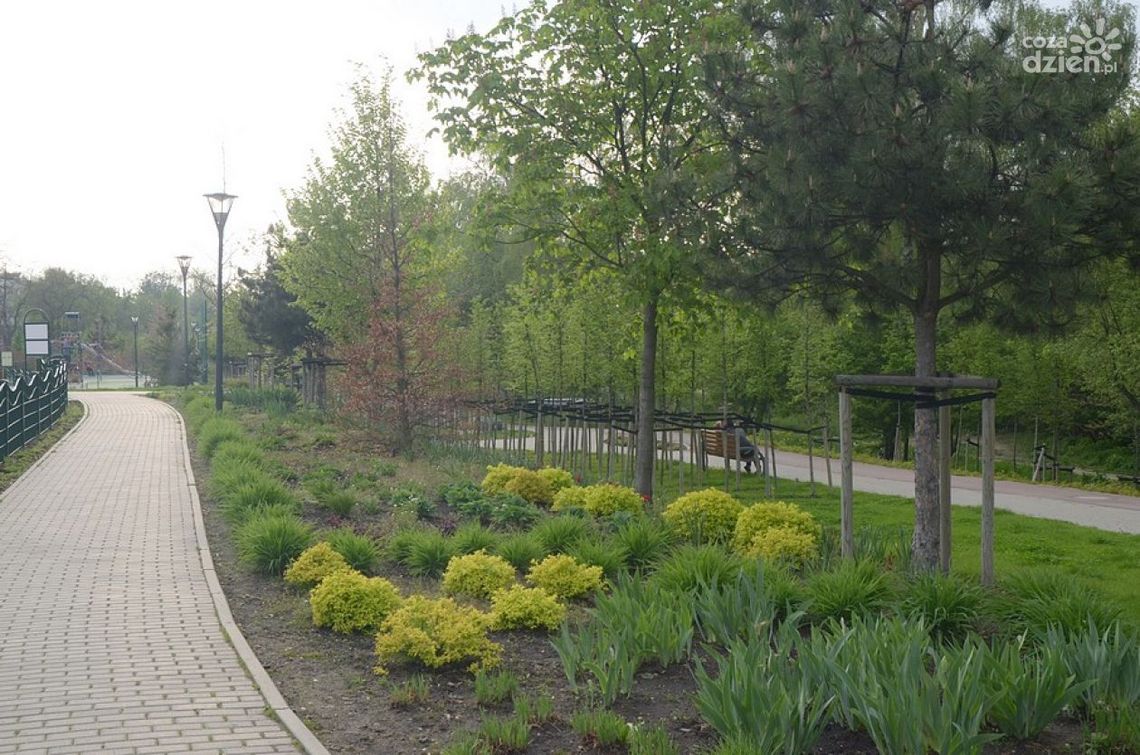 Miasto przejmie park na Osiedlu Słonecznym?